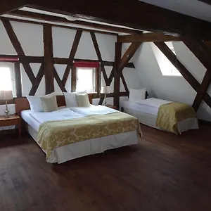 3* Отель Altstadthotel Molitor